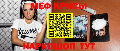 стафф Дубна