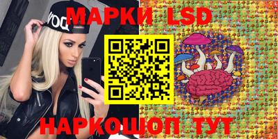 стафф Дубна