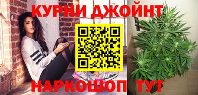 стафф Дубна