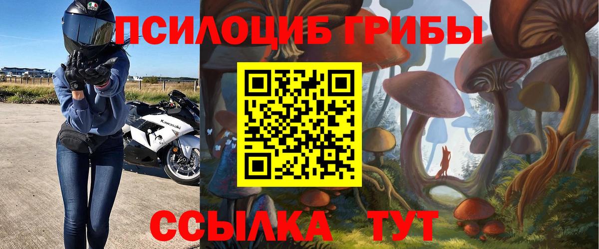 Псилоцибиновые грибы ЛСД Казань