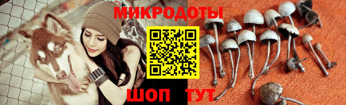 Казань  Галлюциногенные грибы MAGIC MUSHROOMS  Вход с VPN 